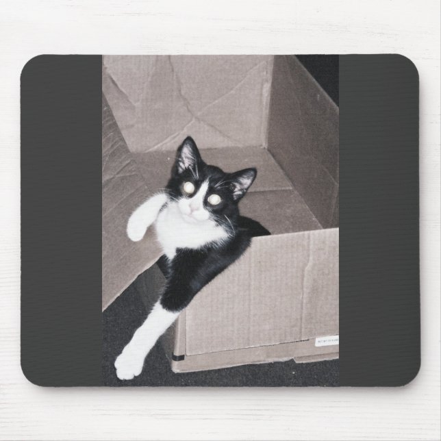 Tapis De Souris nekoo (Devant)