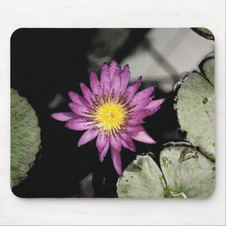 Tapis De Souris Nénuphar