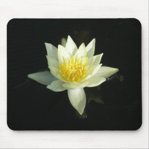Tapis De Souris Nénuphar blanc/Lotus