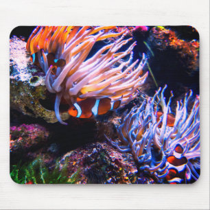 Tapis De Souris Neon Colours Poissons Clown