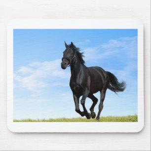 Tapis De Souris noir-cheval-courir-dans-vert-pré