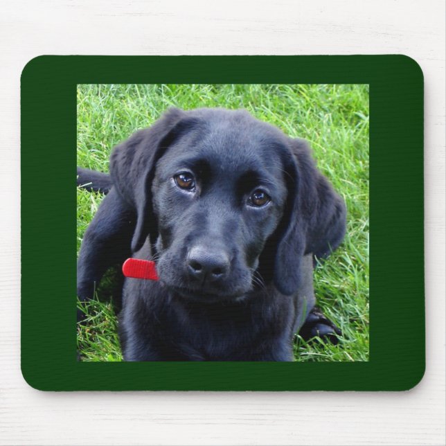 Tapis de souris noir de chiot de Labrador (Devant)