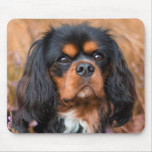Tapis De Souris Noir et Tan Cavalier King Charles Spaniel Chien