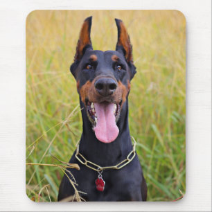 Tapis De Souris Noir et Tan Doberman Pinscher
