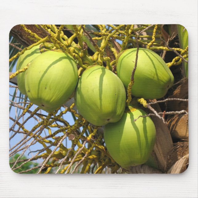 Tapis De Souris Noix de coco vertes fraîches (Devant)
