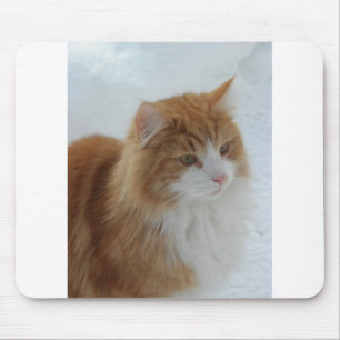 Tapis De Souris Norwegian_Forest_Cat