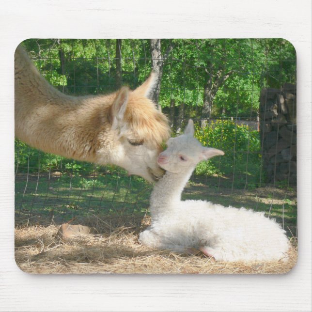 Tapis De Souris Nouveau Cria Mousepad (Devant)
