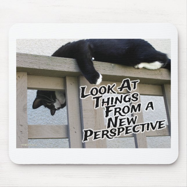 Tapis De Souris Nouvelle perspective Encouragement photo chat (Devant)