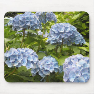 Tapis De Souris Nuances de Blue Hydrangeas