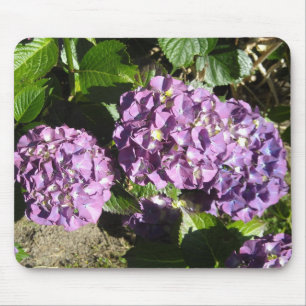 Tapis De Souris Nuances de l'hydrangée violette