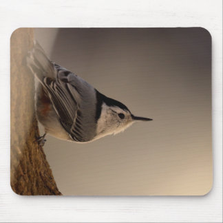 Tapis De Souris Nuthatch_Mousepad