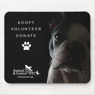 Tapis de souris "observant tranquillement "