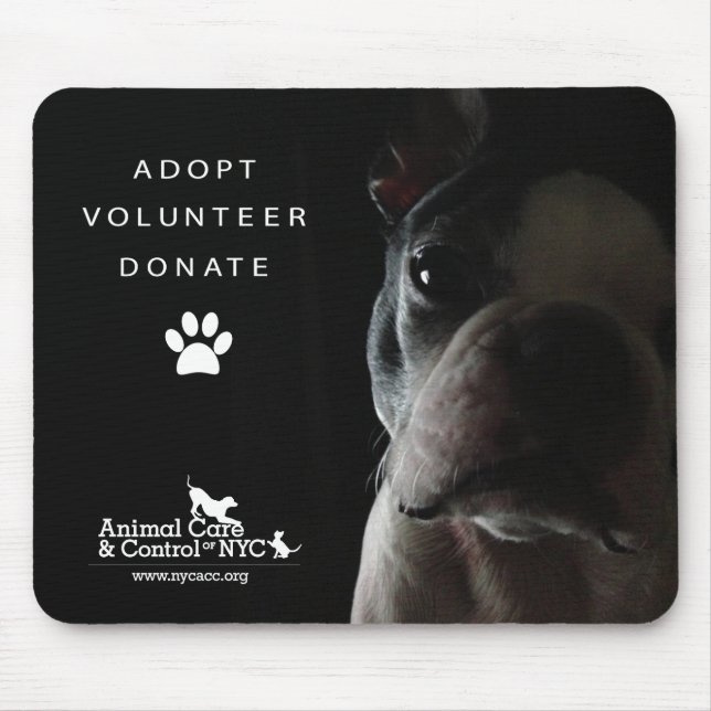 Tapis de souris "observant tranquillement " (Devant)