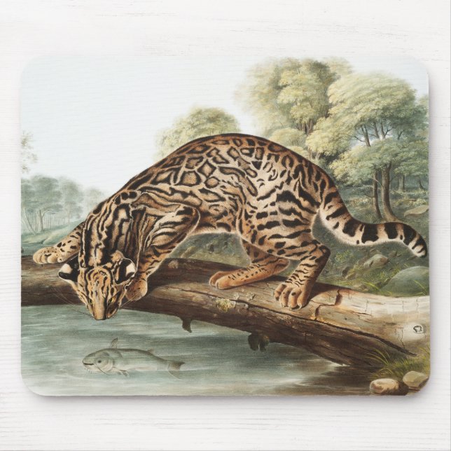 Tapis De Souris Ocelot, chat léopard (Felis pardalis) Illustration (Devant)