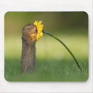 Tapis De Souris Odeur d'écureuil doux Fleur de Dandelion