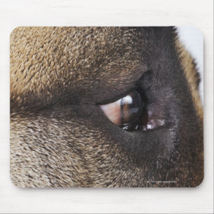 Tapis De Souris Oeil de great dane