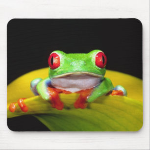 Tapis De Souris Oeil rouge Treefrog, Agalychinis callidryas, autoc