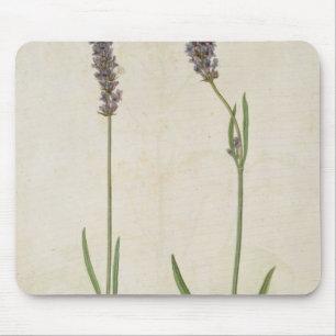 Tapis De Souris Officinalis de Lavandula (vieille lavande