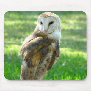Tapis De Souris Oh hibou de grange