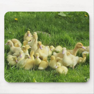 Tapis De Souris oiseau, canard, canard, jaune, nature, mignonette,
