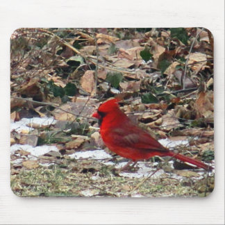 Tapis De Souris Oiseau cardinal rouge dans le feuille