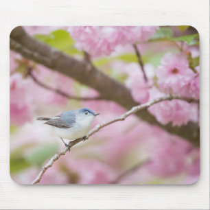 Tapis De Souris Oiseau dans l'arbre en fleurs