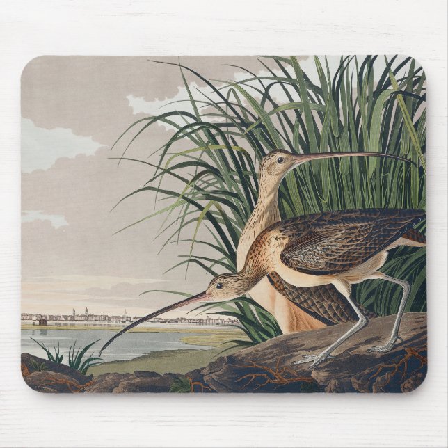 Tapis De Souris Oiseau de Courlis à long bec Audubon (Devant)