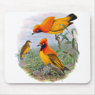 Tapis De Souris Oiseau Doré vintage Du Paradis - Mousepad
