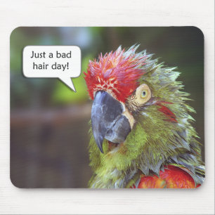 Tapis De Souris Oiseau drôle Mousepad