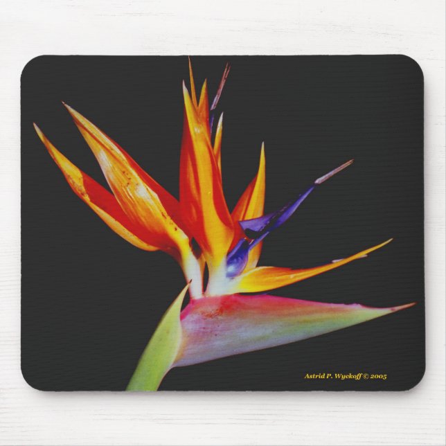 Tapis De Souris Oiseau du paradis Mousepad (Devant)