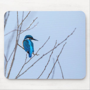 Tapis De Souris Oiseau glacé