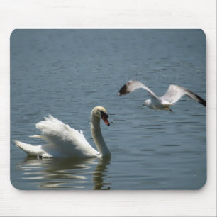 Tapis De Souris Oiseau Jouant Avec Un Cygne