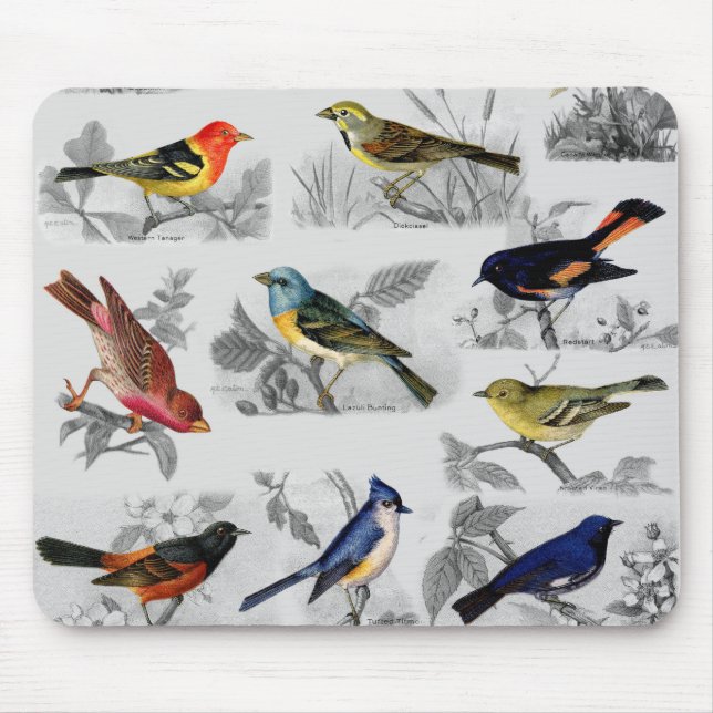Tapis De Souris Oiseaux à l'ancienne (Devant)