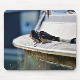 Tapis De Souris Oiseaux blancs sur une ligne dans le port