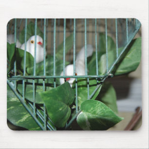 Tapis De Souris Oiseaux de Noël