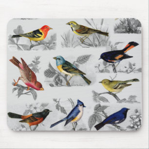Tapis De Souris Oiseaux démodés