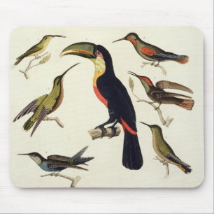 Tapis De Souris Oiseaux indigènes, y compris le toucan (centre),