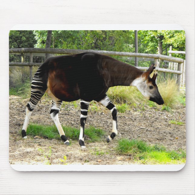 Tapis De Souris Okapi (Devant)