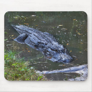 Tapis De Souris Ombre dans les Hauts-Fonds