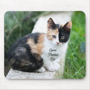 Tapis De Souris Opera Phantom Chat
