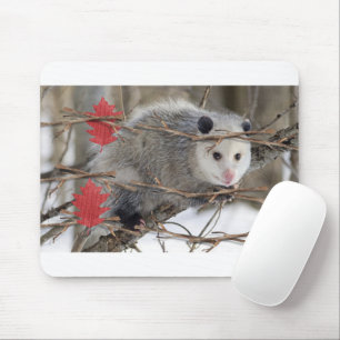 Tapis De Souris Opossum Nature Pad Souris Blanc!