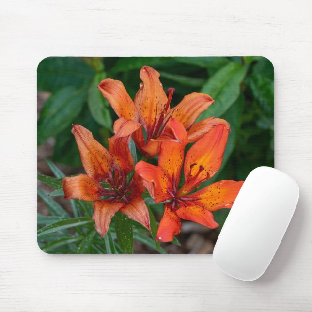 Tapis De Souris Orange Daylily Photography, Beauté canadienne (Avec souris)