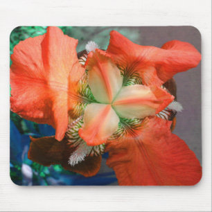 Tapis De Souris Orange Iris Mousepad
