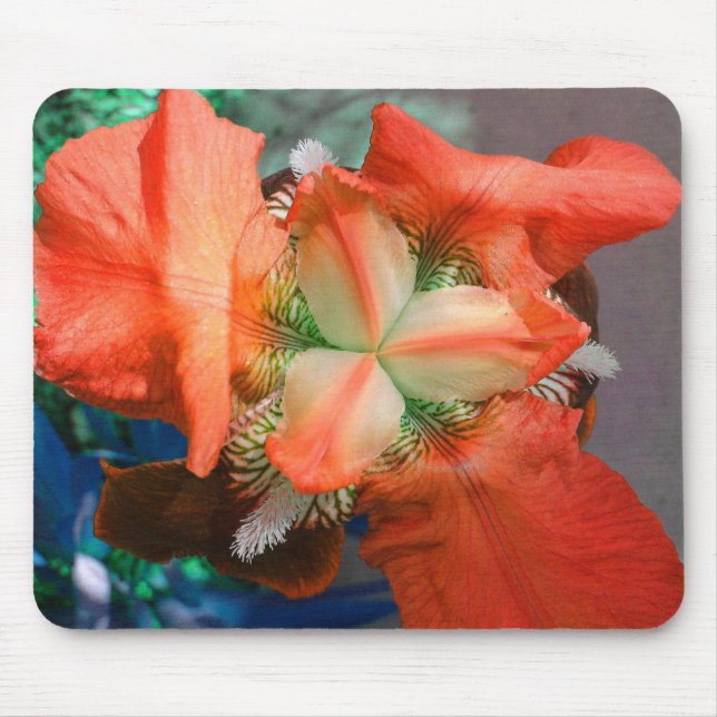 Tapis De Souris Orange Iris Mousepad (Devant)