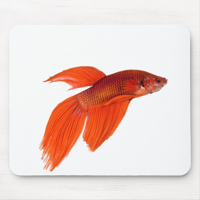 Tapis De Souris Orange Japonais combattant le poisson Betta Siames (Devant)