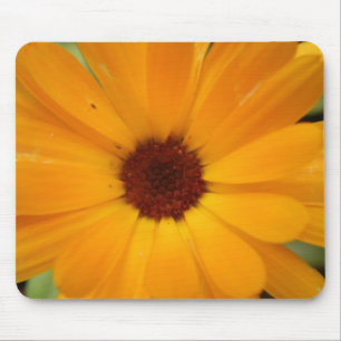 Tapis De Souris Orange Pluie Daisy Mousepad