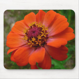 Tapis De Souris Orange Zinnia Fleur sauvage Nature Florale