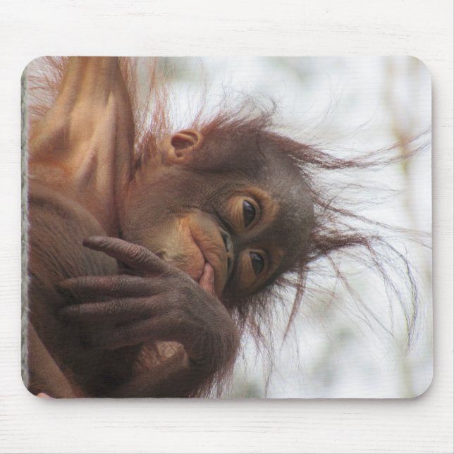 Tapis De Souris Orangutan Baby Mousepad (Devant)