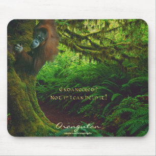 Tapis De Souris Orangutans et forêt tropicale soutien à la faune M