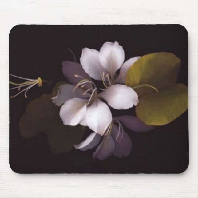 Tapis De Souris Orchidée (Devant)